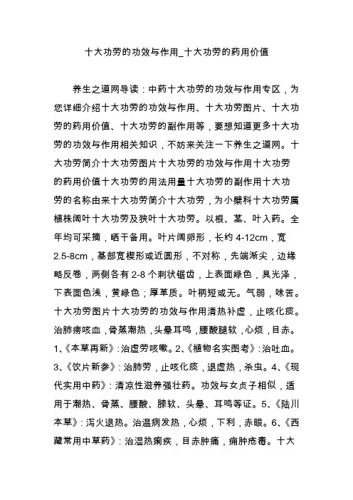 十大功劳的功效与作用_十大功劳的药用价值