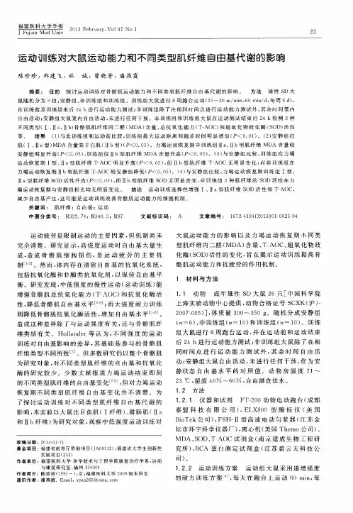 运动训练对大鼠运动能力和不同类型肌纤维自由基代谢的影响