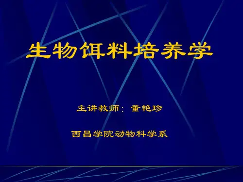 第四章 卤虫的培养