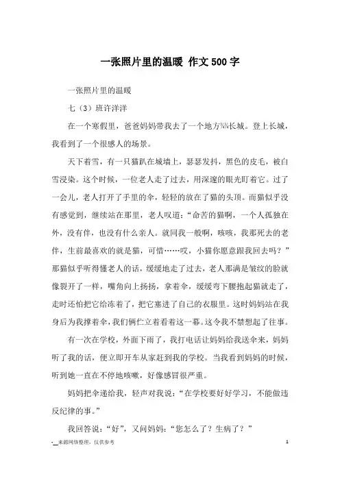 一张照片里的温暖 作文500字_优秀作文