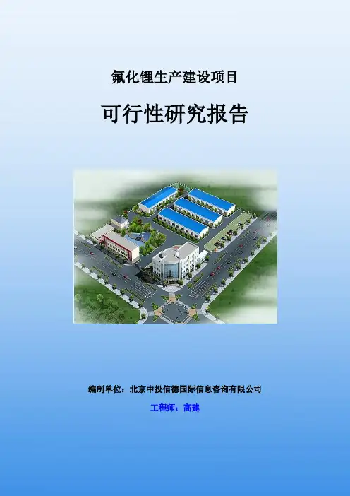 氟化锂生产建设项目可行性研究报告