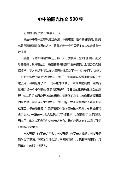 心中的阳光作文500字