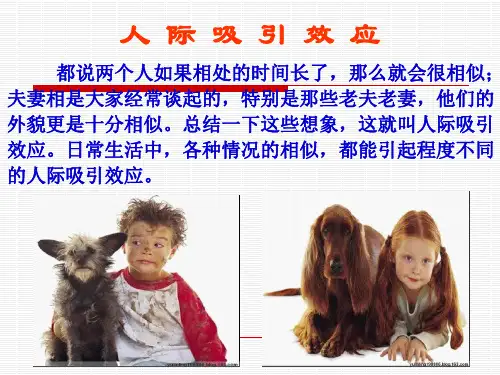 第六章+人际冲突+动画