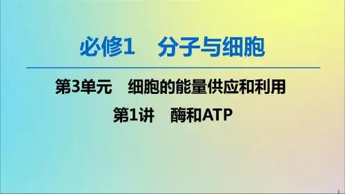2020版高考生物一轮复习第3单元第1讲酶和ATP课件新人教版