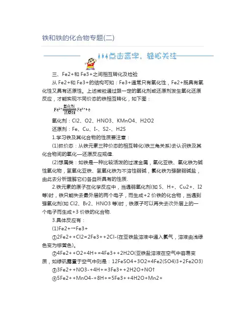 高中化学铁和铁的化合物专题(二)
