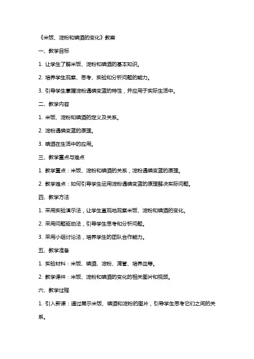 《米饭、淀粉和碘酒的变化》教案