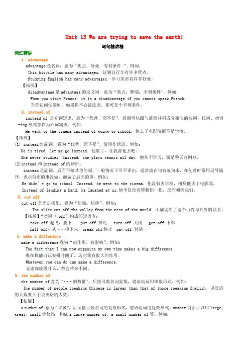 九年级英语全册 Unit 13 We are trying to save the earth词句精