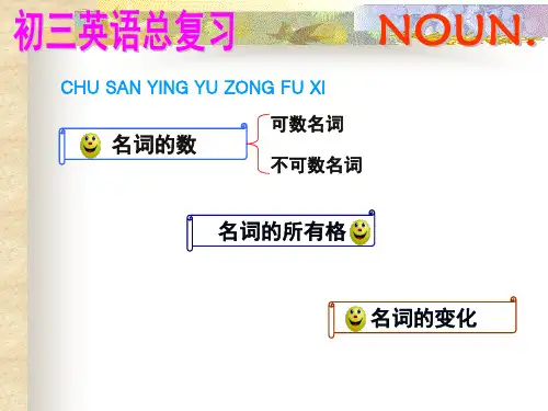 初三英语-名词-总复习