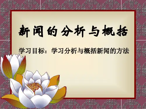 新闻分析概括