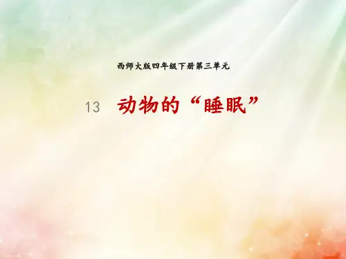 西南师大版四年级语文下册《三单元  13 动物的“睡眠”》课件_0