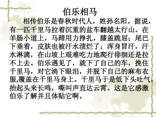 12-13py八下23马说