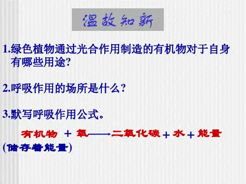 绿色植物与生物圈中的碳-氧平衡5