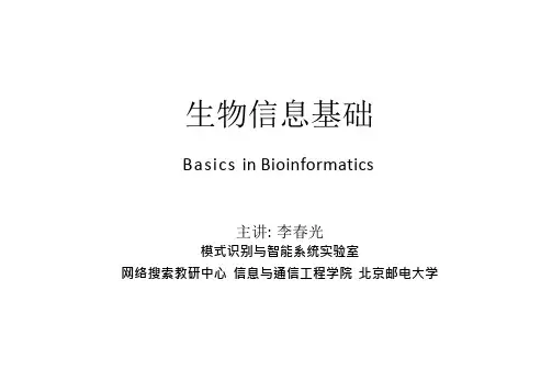 生物信息基础 第6章 系统发育分析