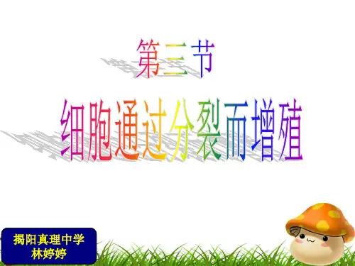 第3节细胞通过分裂而增殖