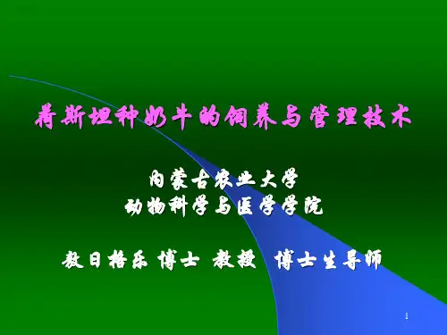 荷斯坦种奶牛的饲养与管理技术会议讨论