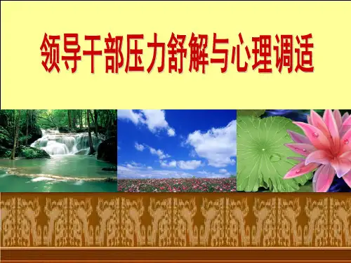 领导干部压力舒解与心理调适