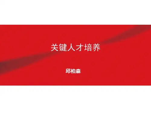 关键人才培养