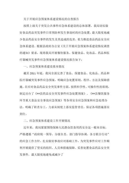 应急预案报告