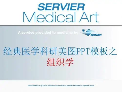 经典医学科研美图PPT模板之组织细胞学
