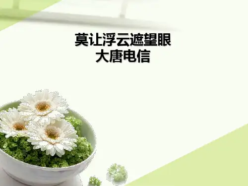 大唐电信案例