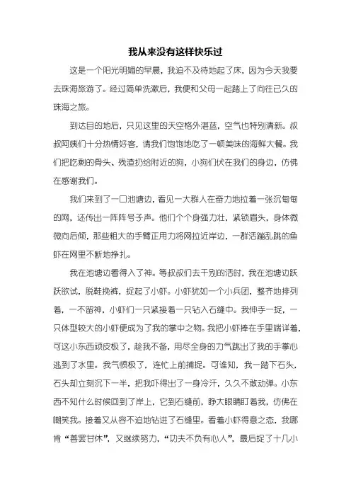 四年级作文：我从来没有这样快乐过作文600字