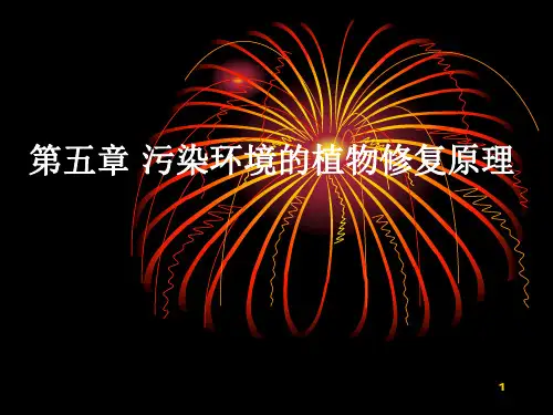 第五章 污染环境的植物修复原理