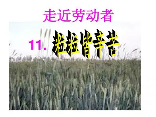 11、《粒粒皆辛苦》PPT