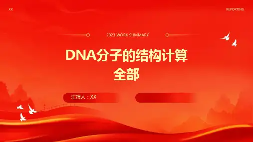 DNA分子的结构计算全部