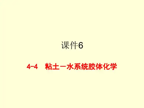 4-5粘土-水系统胶体化学