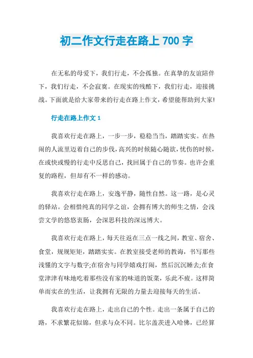 初二作文行走在路上700字