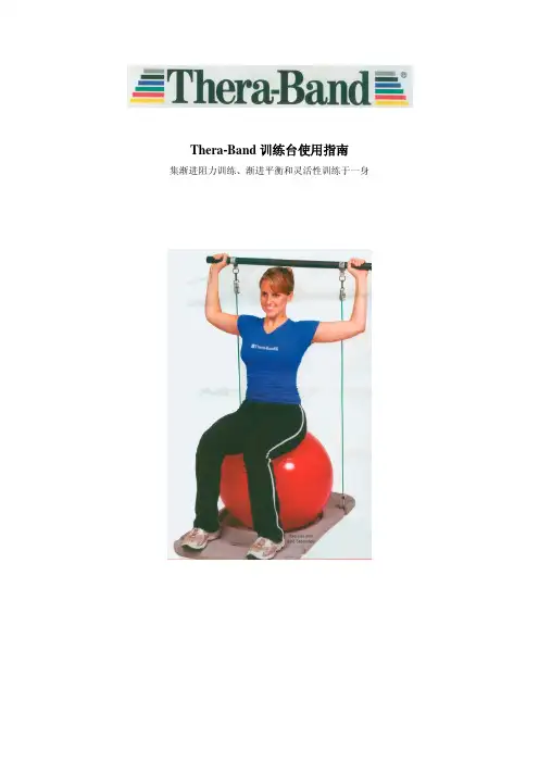 Thera-Band 训练台 使用指南