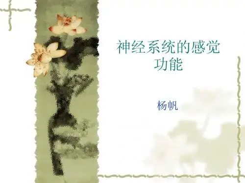 12神经系统的感觉功