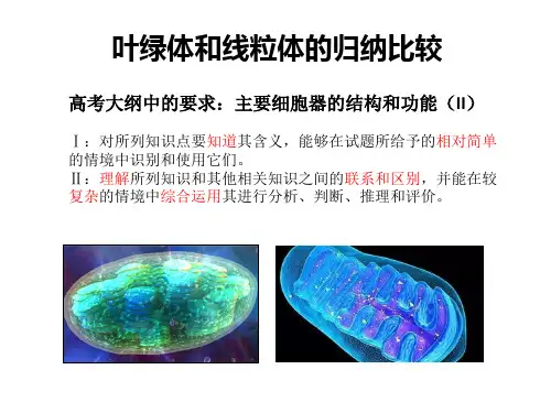 叶绿体和线粒体
