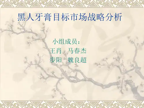 黑人牙膏目标市场