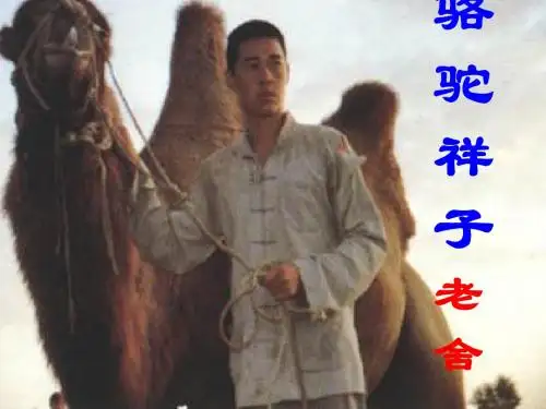 骆驼祥子