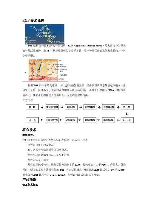 EGF技术原理