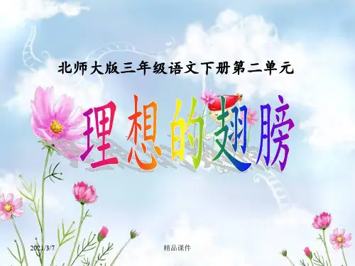 理想的翅膀课件1