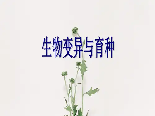 生物变异与育种PPT教学课件
