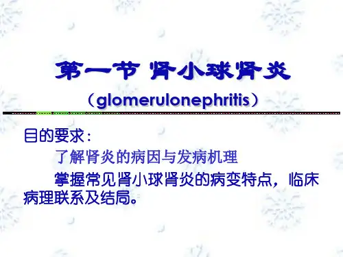 第一节 肾小球肾炎