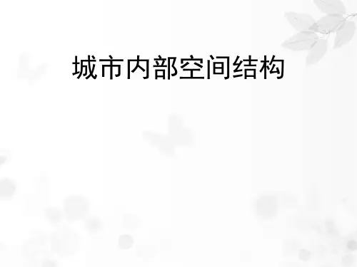 城市内部空间结构 PPT