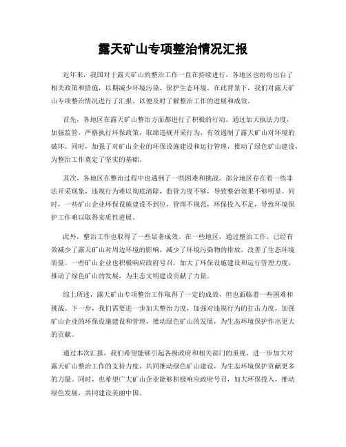 露天矿山专项整治情况汇报