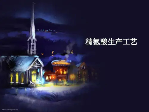 精氨酸生产工艺