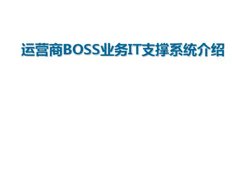 三大运营商IT支撑系统简介