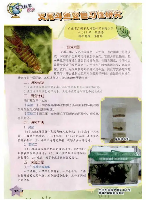 叉尾斗鱼变色习性研究