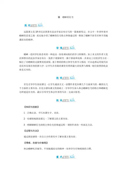 四年级上册语文教案-11蟋蟀的住宅人教部编版