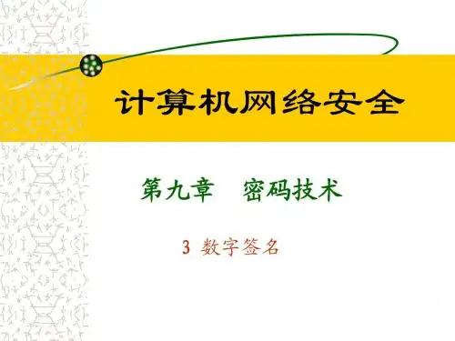 计算机网络安全-12