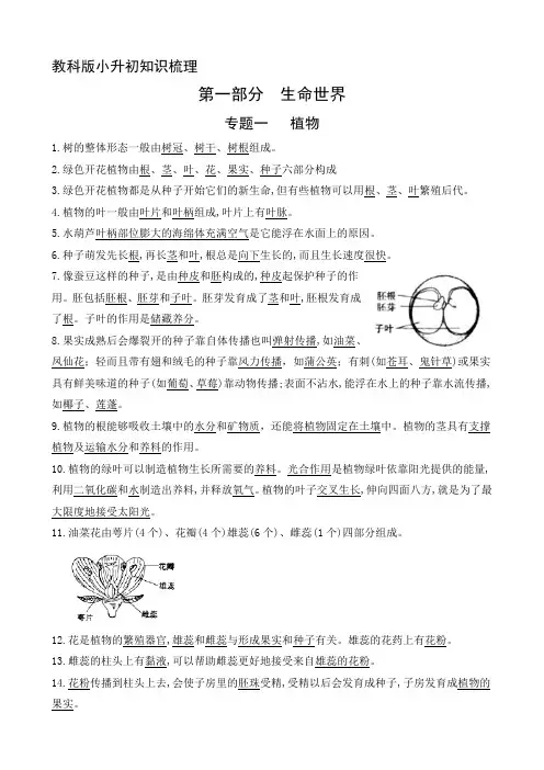 教科版科学小升初知识梳理