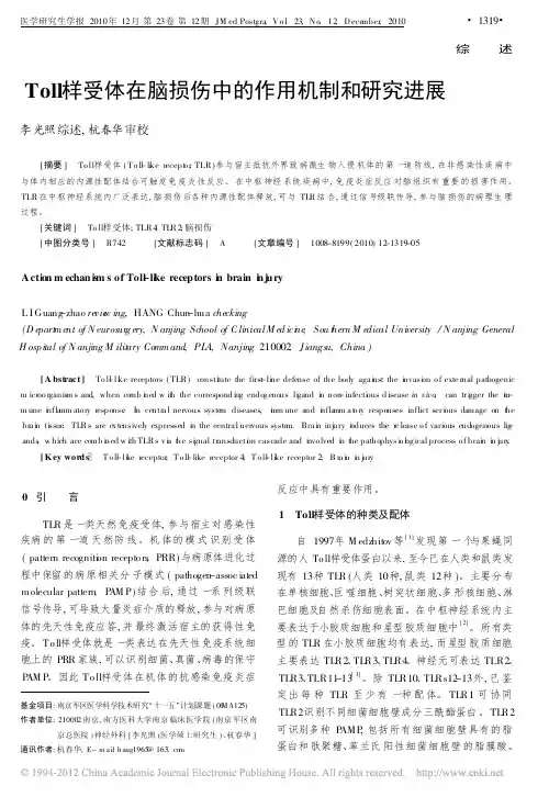 Toll样受体在脑损伤中的作用机制和研究进展