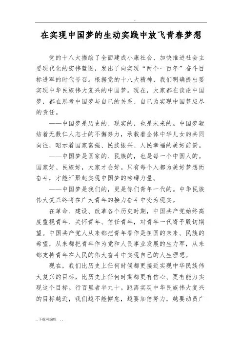 在实现中国梦的生动实践中放飞青春梦想 3