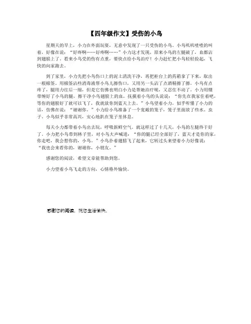 【四年级作文】受伤的小鸟